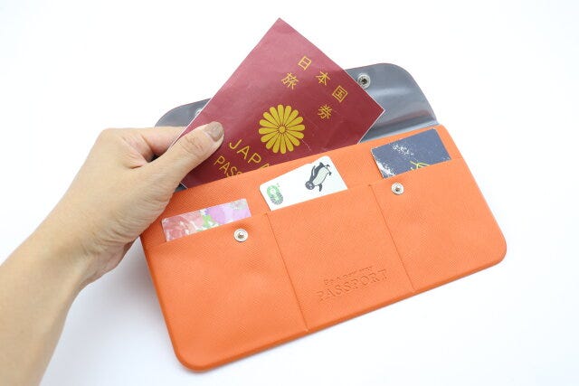 ダイソー　パスポートケース（ボタン付）　パスポート