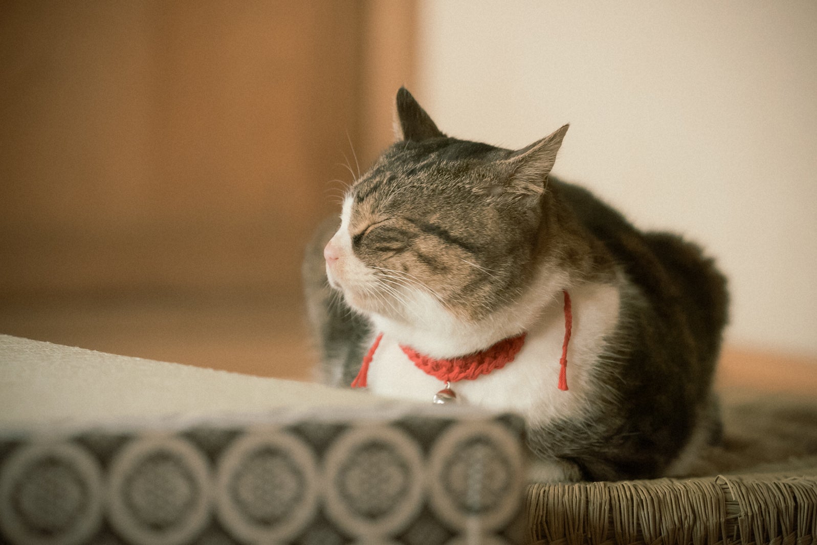 「光る君へ」第12話より（C）NHK