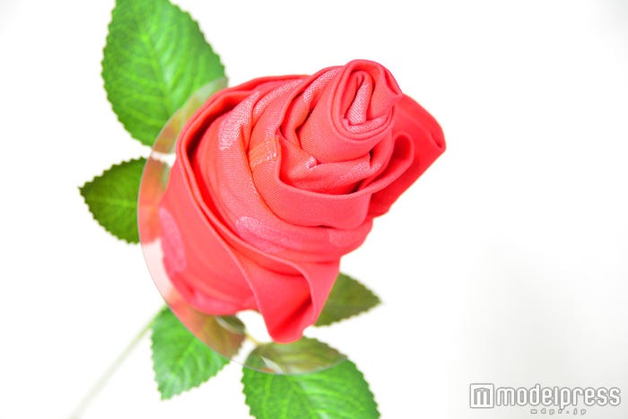 ワコール「ブロス パンツフラワー(ボクサーパンツ前閉じ)」(C)モデルプレス