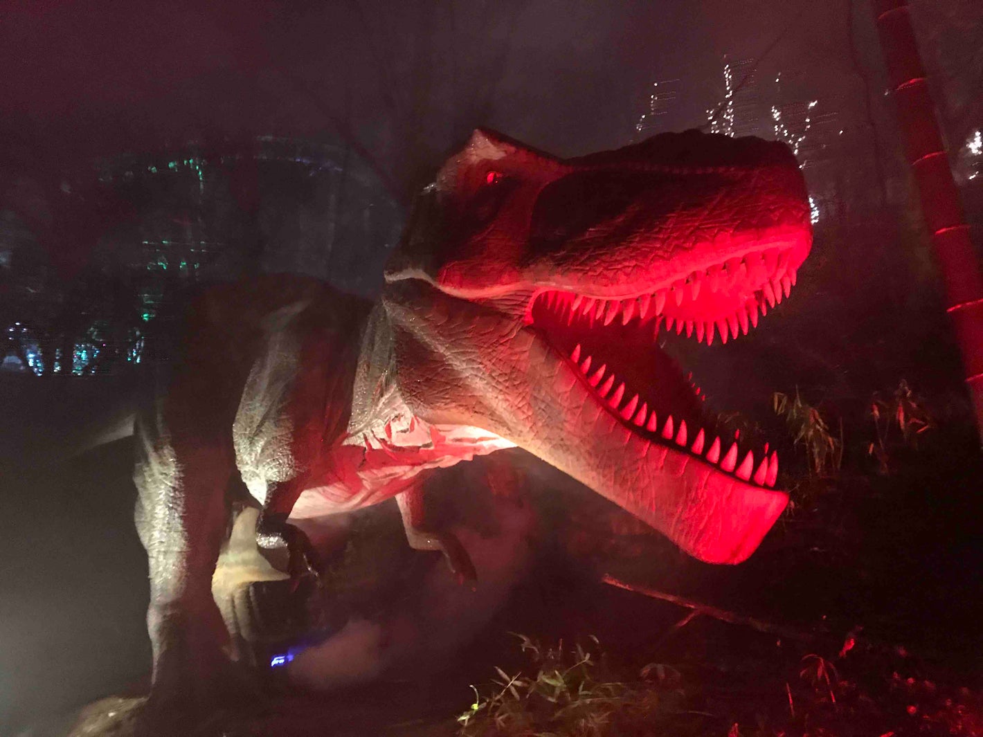 夜のダイナソーパーク／画像提供：みろくの里