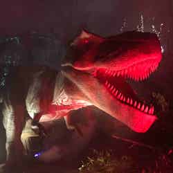 夜のダイナソーパーク/画像提供:みろくの里