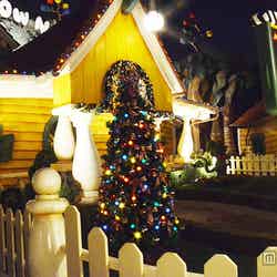 ミッキーの家、クリスマスツリー（TDL）