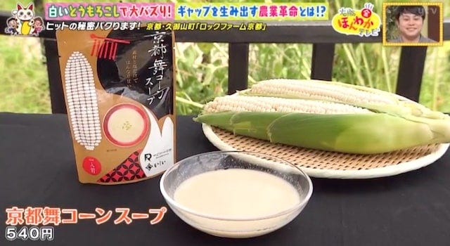 【京都・久御山町】全国から購入者が殺到!1日数千本も売れた「白いスイートコーン」とは?