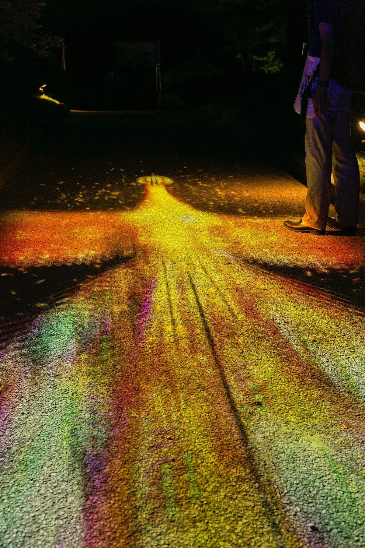 ナイトウォーク火の鳥（C）Tezuka Productions