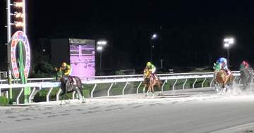 【地方競馬】エコロガイアが園田チャレンジカップを制し重賞初制覇