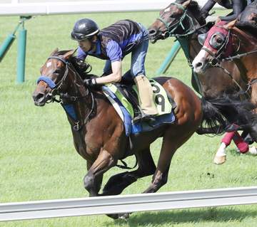 【新馬戦】ウィエダンドに好気配 シンハライトなど近親に活躍馬多数 坂田助手「レベル違うくらいの動き」