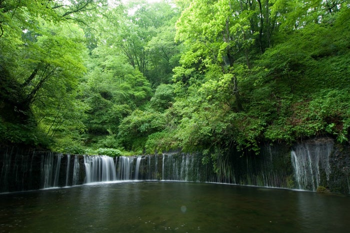 白糸の滝 (提供画像)