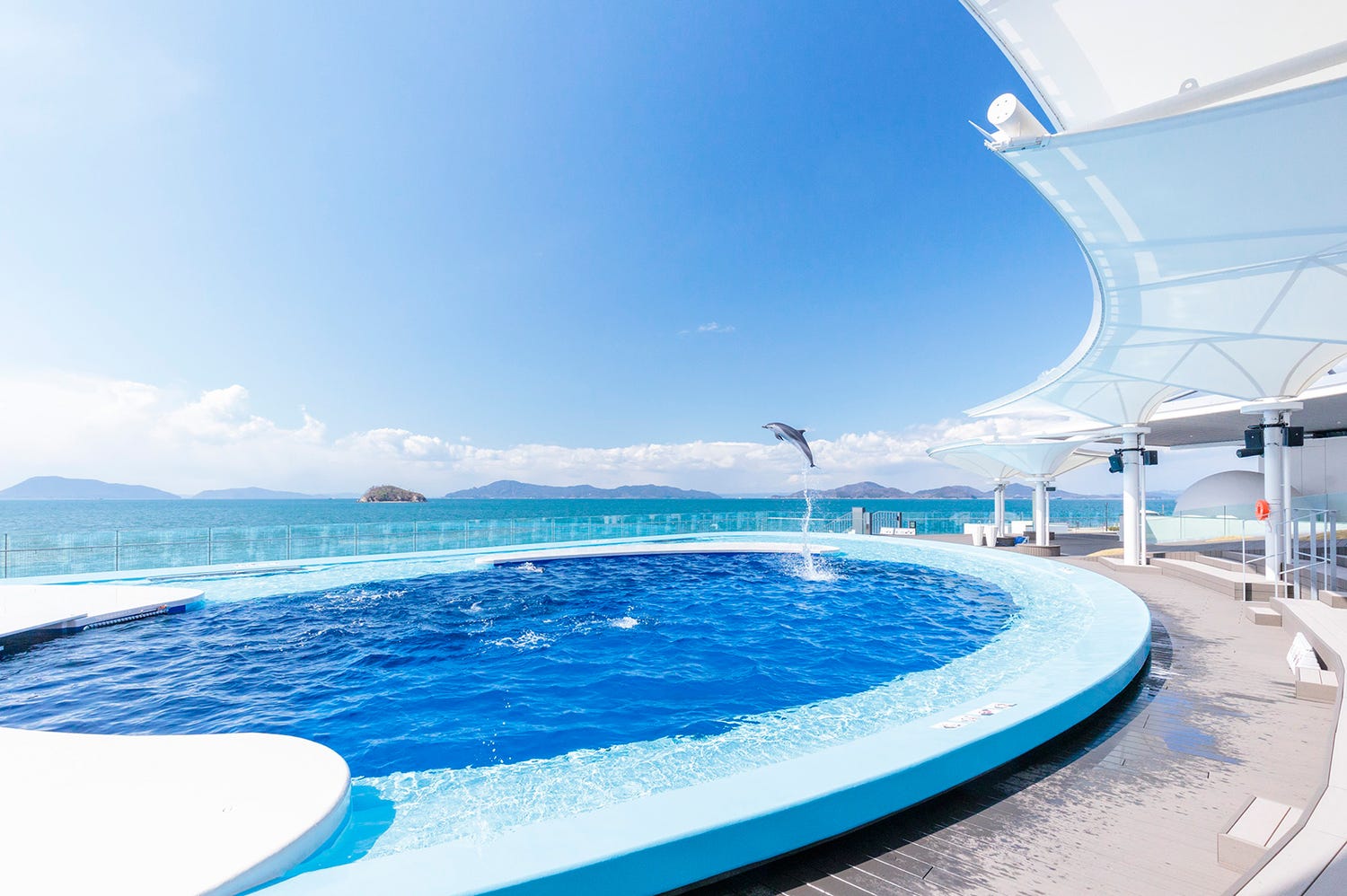 「四国水族館」“四国最大級の水族館”香川新名所の見どころを紹介