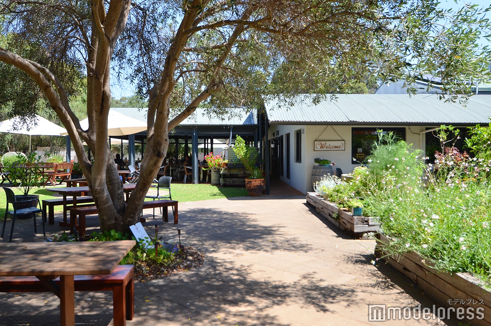 オリオ・ベロ（C）モデルプレス