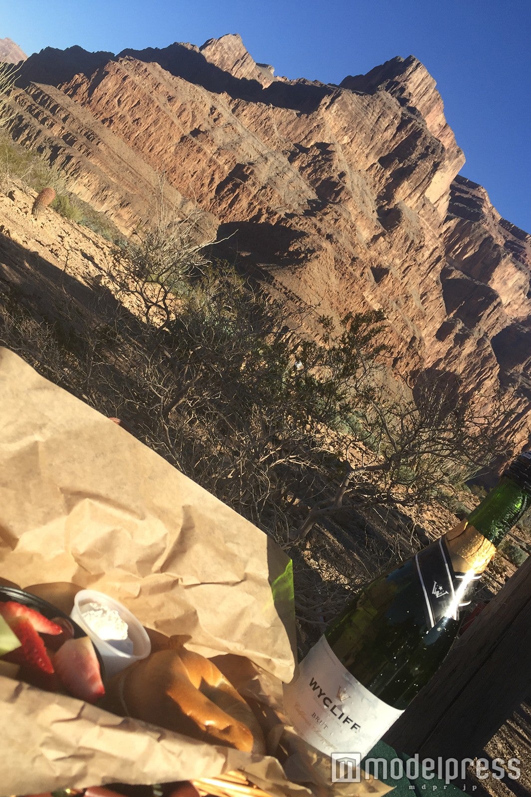 絶景の中での朝食は最高！