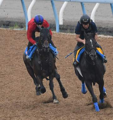 【七夕賞】カラマティアノス 2度目の重賞白星へ 前走切れ負けも今回の条件なら心配無用 奥村武師も成長に太鼓判