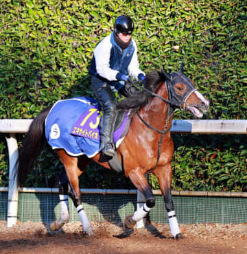 【有馬記念】エキサイトバイオ 確かな成長で一発狙う 今野師「極、グッジョブ」絶好の1枠1番をゲット 