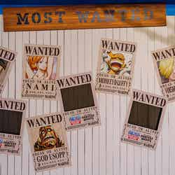 UNIVERSAL FAN FEST NIGHTS/提供画像