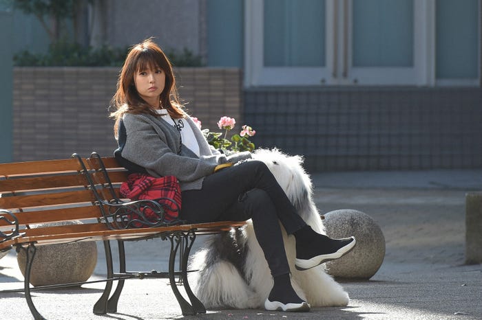 深田恭子、とろろ/「初めて恋をした日に読む話」第1話より(C)TBS