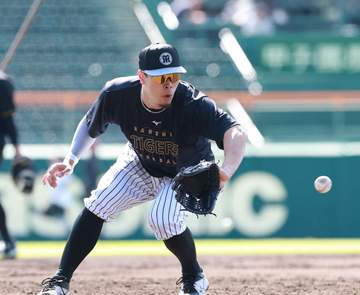 阪神 3番・森下翔太、4番・佐藤輝明がスタメン復帰 3試合連続完封負けで日本シリーズ進出へ崖っぷち