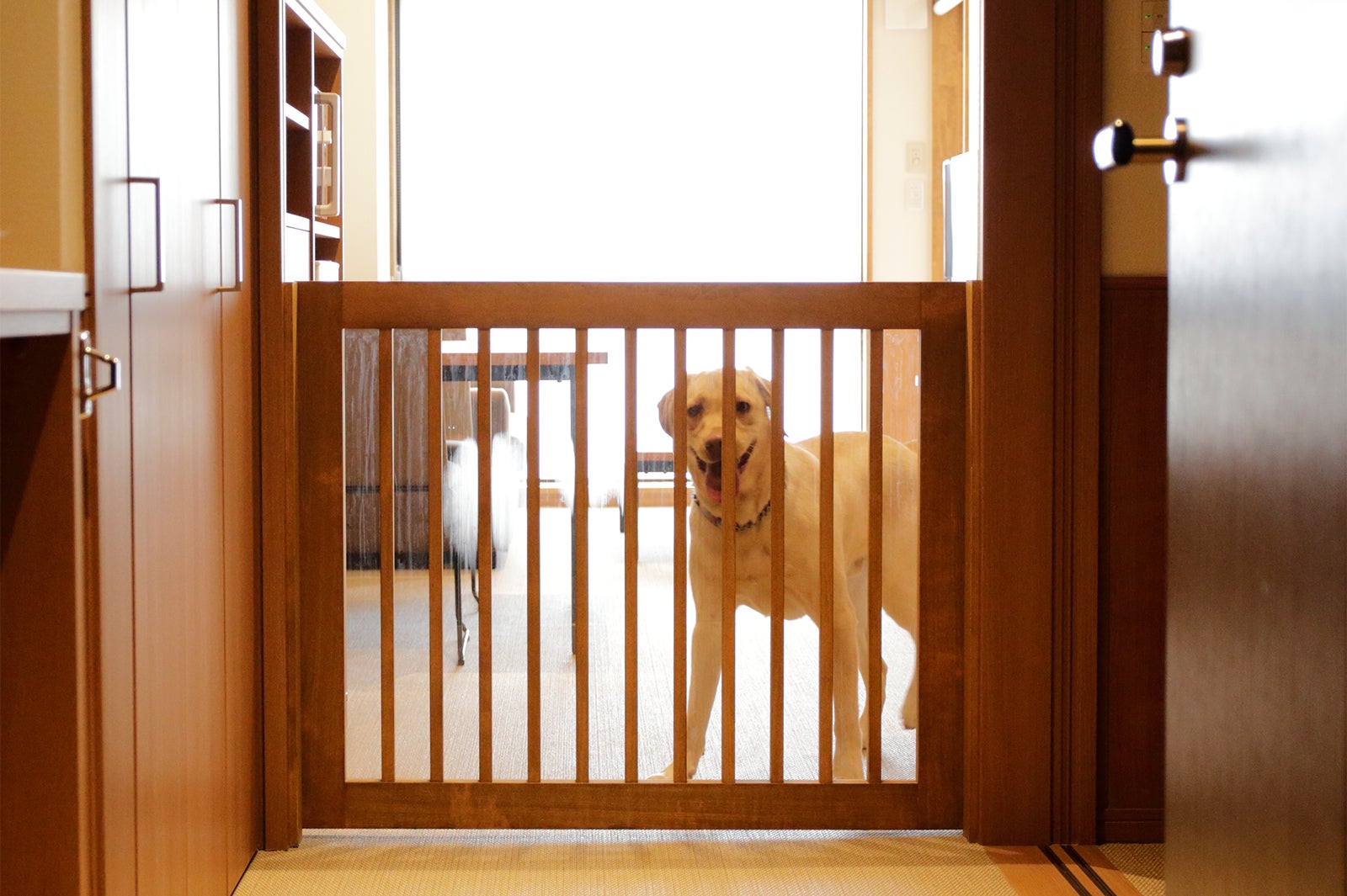 飛出し防止ゲート／画像提供：東京建物リゾート