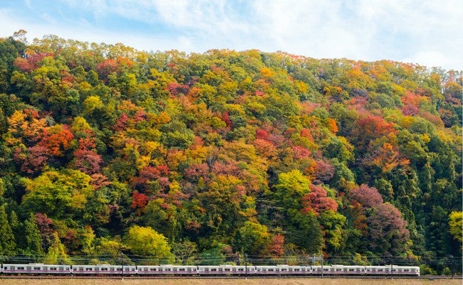 高尾山の紅葉と京王高尾線／画像提供：京王電鉄