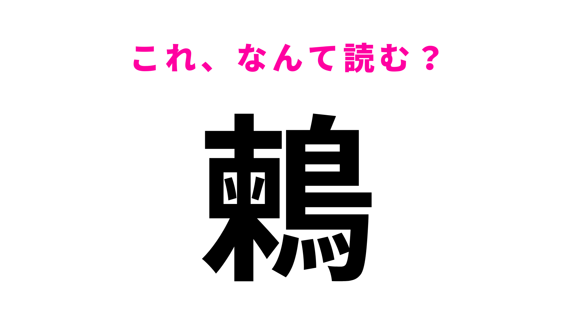 【漢字クイズ】「鶫」はなんて読む？くちばしが特徴的！