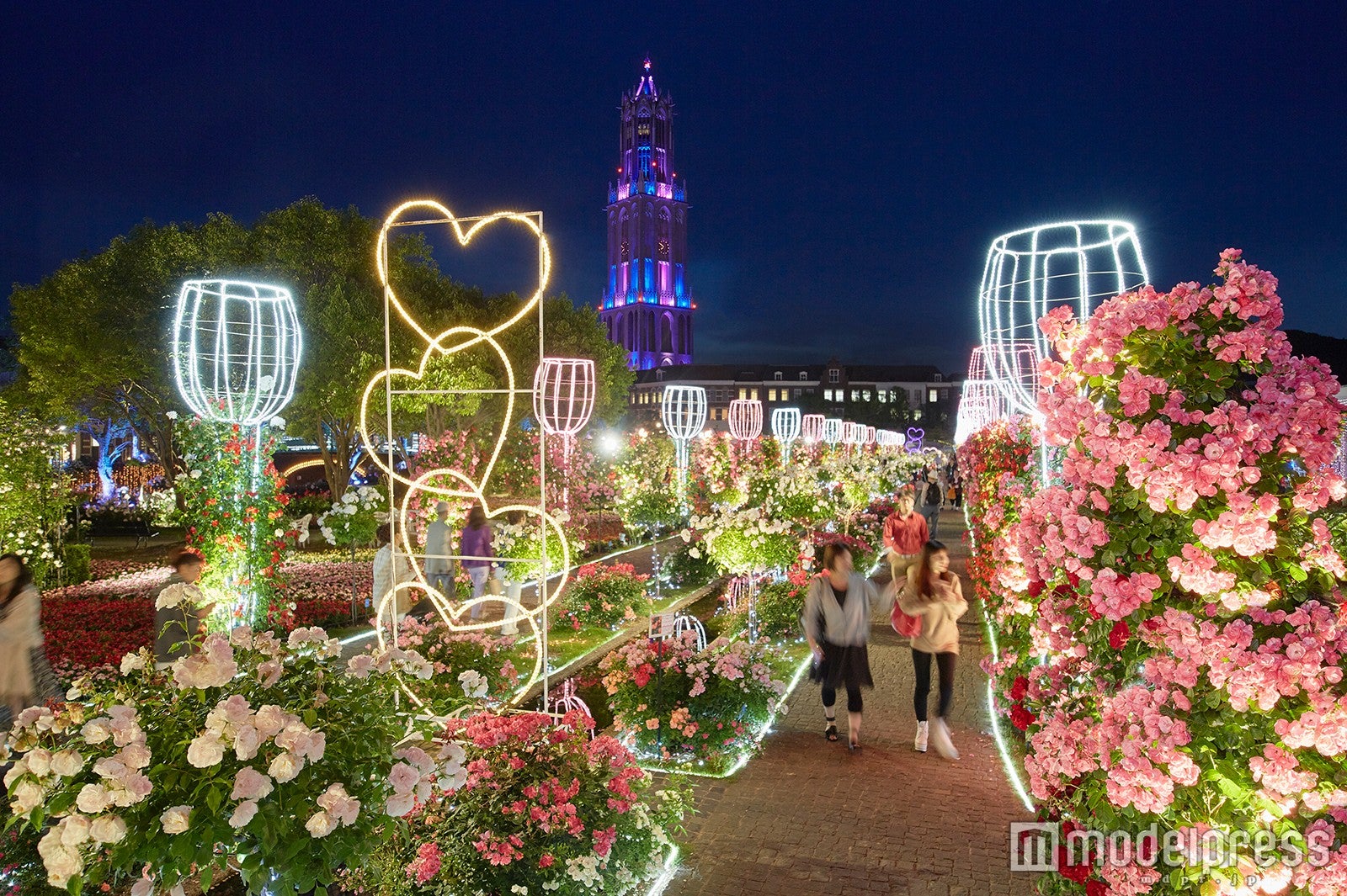 ナイトローズ／画像提供：ハウステンボス