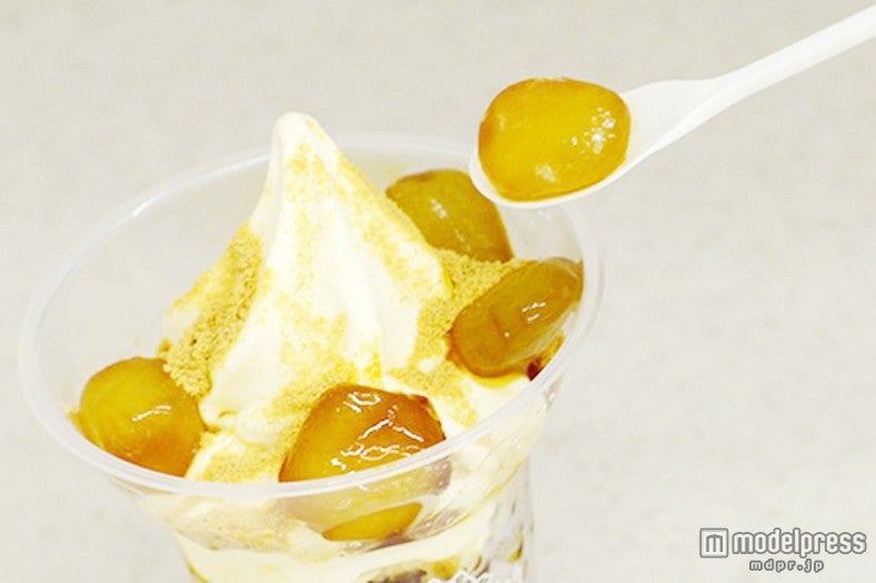 ぷるぷると涼しげな見た目のわらび餅、もちもち感がたまらない