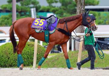 【天皇賞・秋】シェイクユアハート あとは流れ次第 宮師「変わりなくいい」前走から12キロ増も想定内