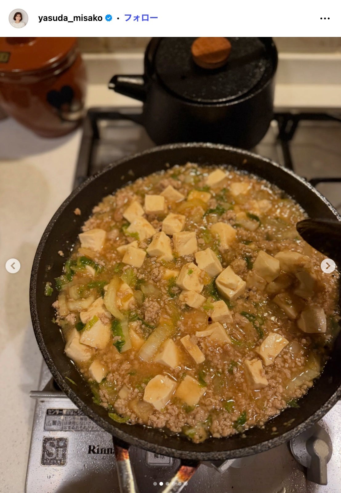 安田美沙子Instagramより