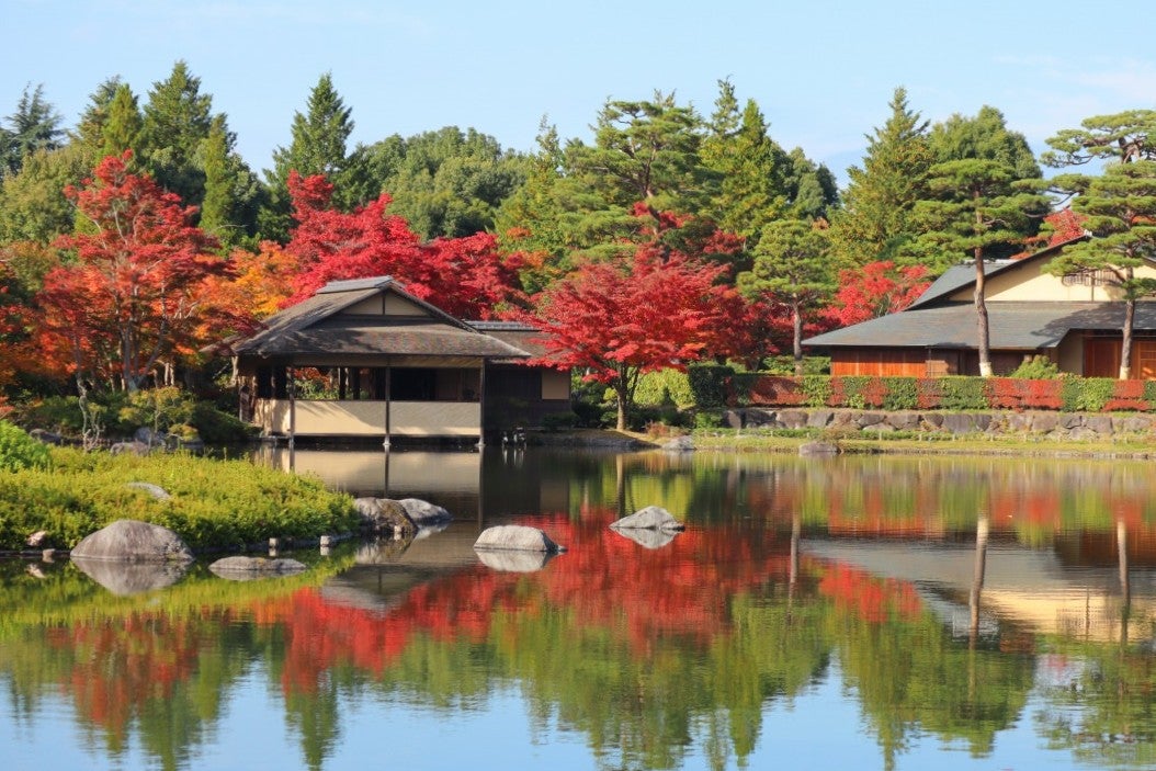国営昭和記念公園／提供画像