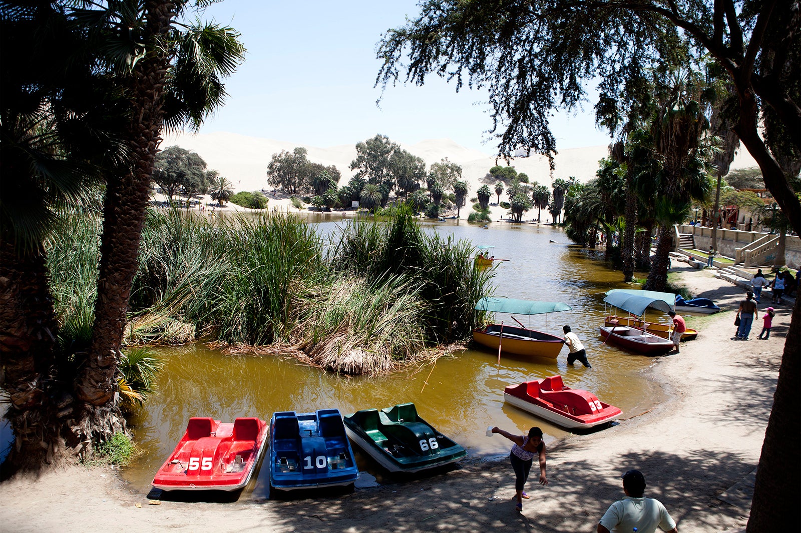 オアシス／画像提供：ペルー政府観光庁