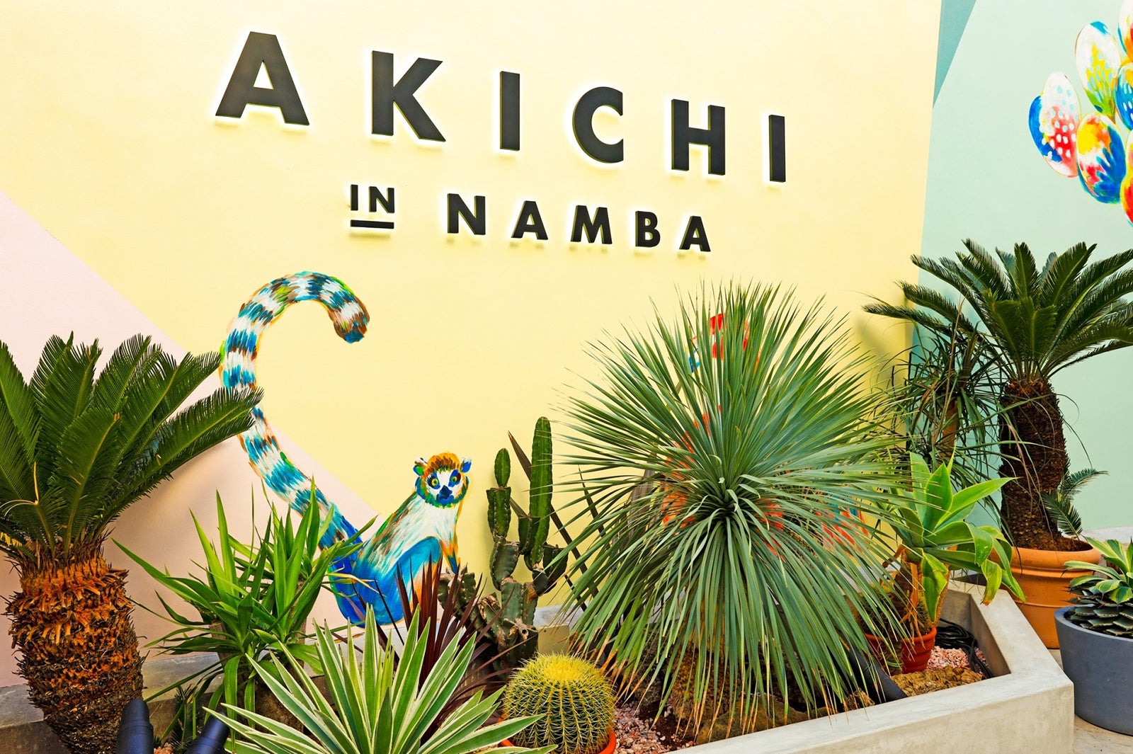 AKICHI／画像提供：ドロキア・オラシイタ