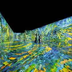 GARDEN 'D'ORSAY(GANGNEUNG, NEW YORK)/提供画像