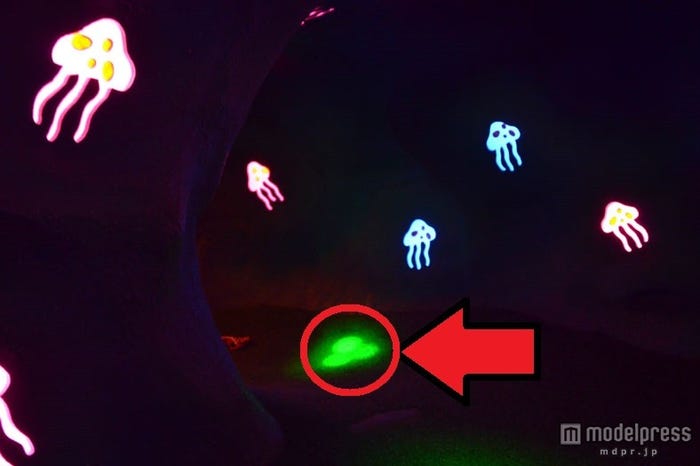 洞窟内、照らす光がミッキーの形に