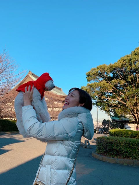 真っ白な愛犬: 多夢(たむ)は、癒しです♪/小澤陽子アナウンサー(提供写真)