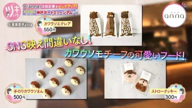 【明日オープン】神戸に新たなランドマークが誕生！新感覚の水族館とは？