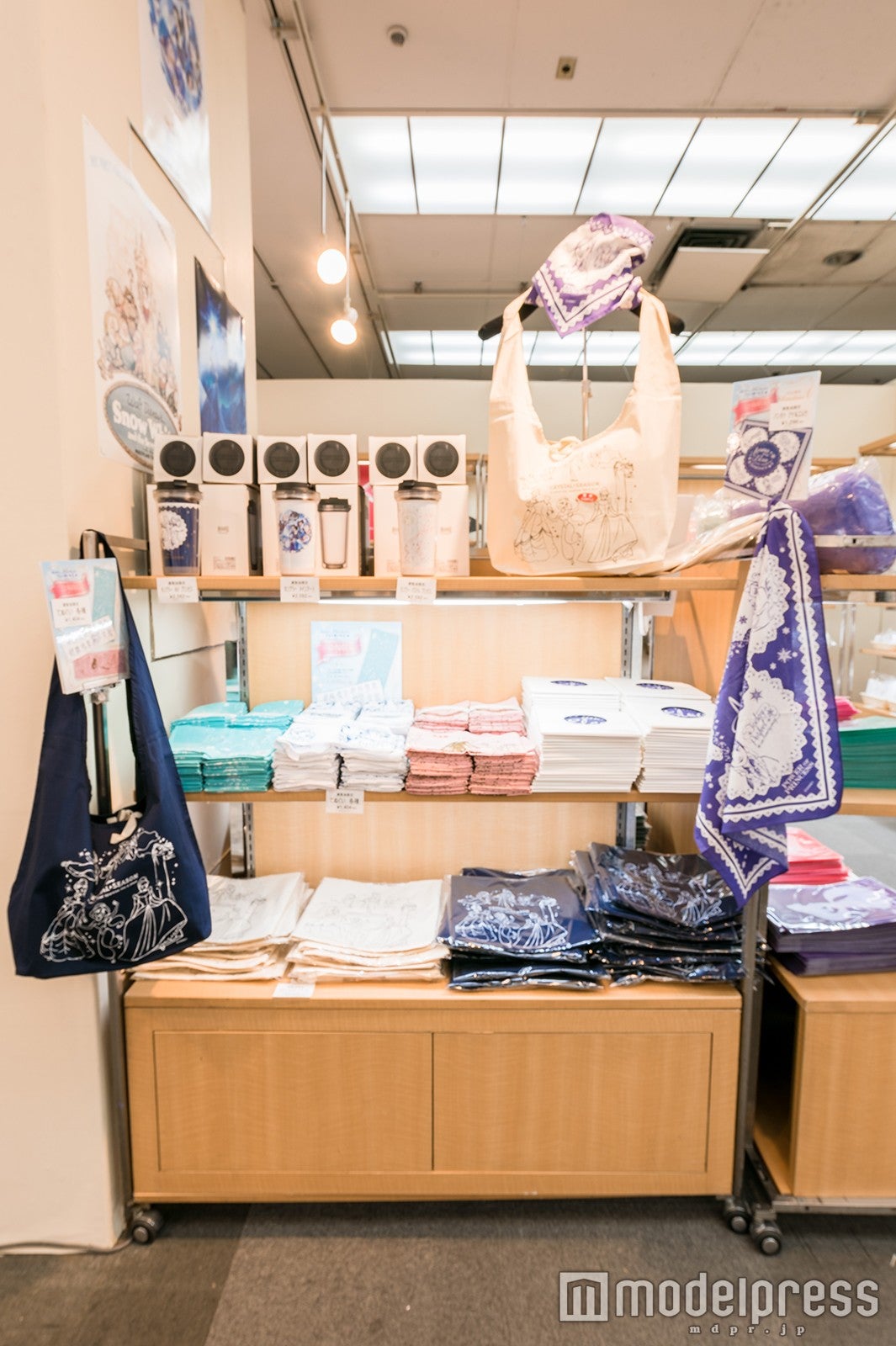 POWER OF PRINCESS「ディズニープリンセスとアナと雪の女王展」より（C）Disney