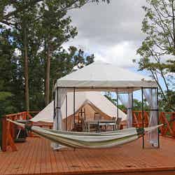 マザー牧場 グランピング THE FARM「ハンモックテラス」(提供画像)