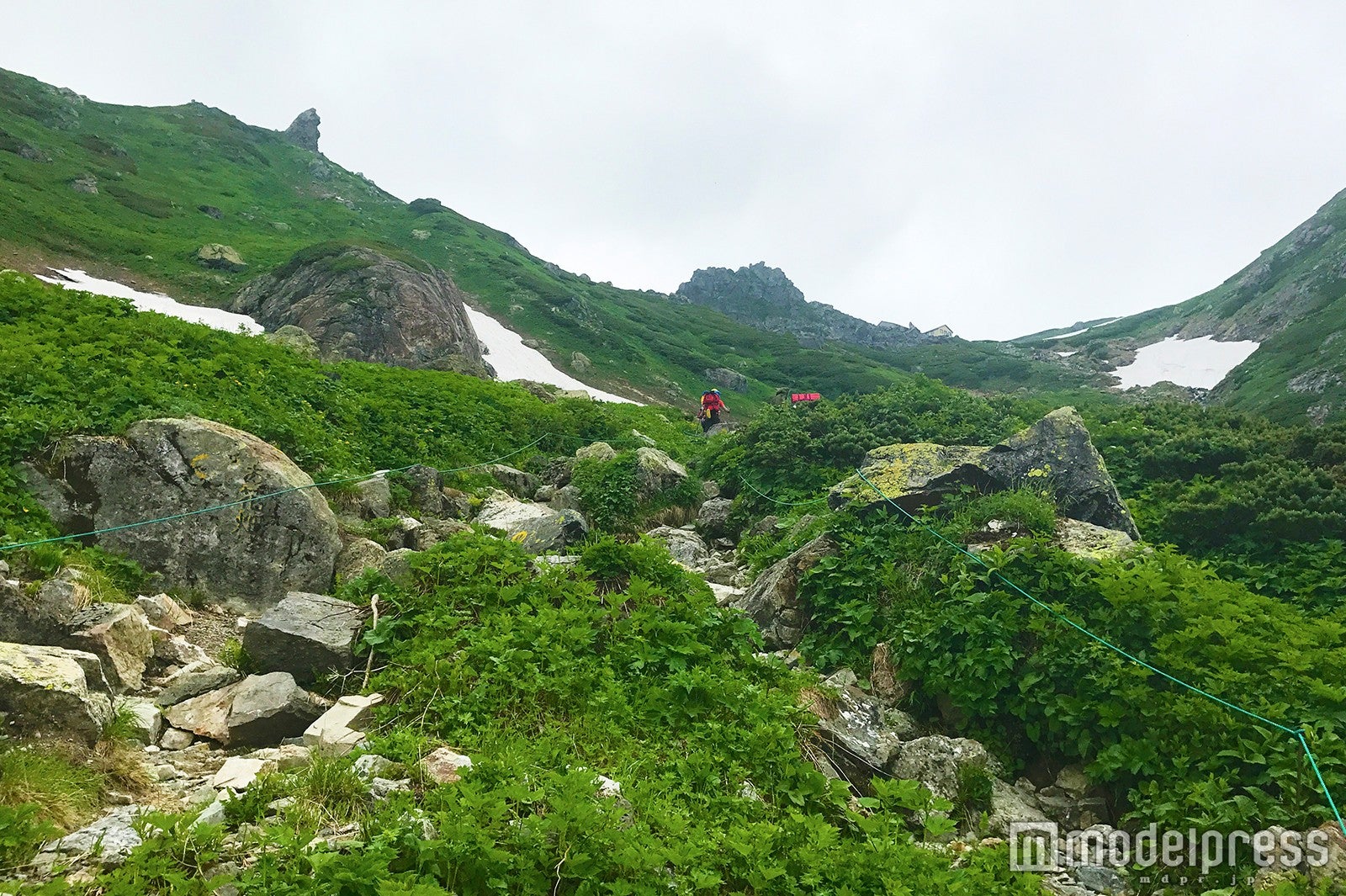 大雪渓を抜けると緑が広がる（C）モデルプレス