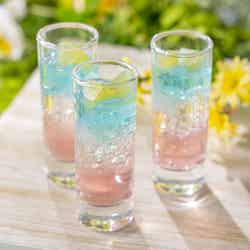 Strawberry Fairy Garden/提供画像