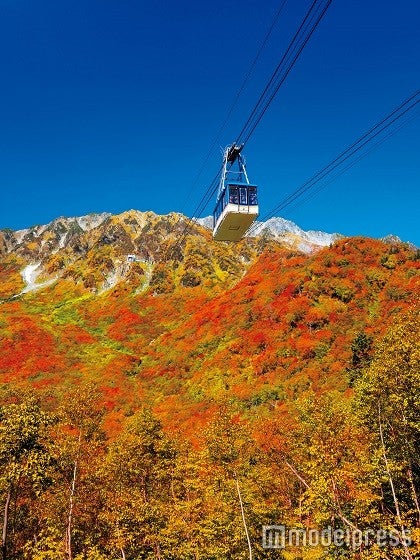 立山黒部アルペンルートの紅葉／画像提供：立山黒部貫光