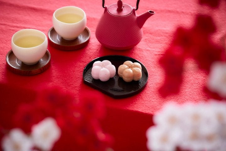 梅見を楽しむ体験／画像提供：星野リゾート