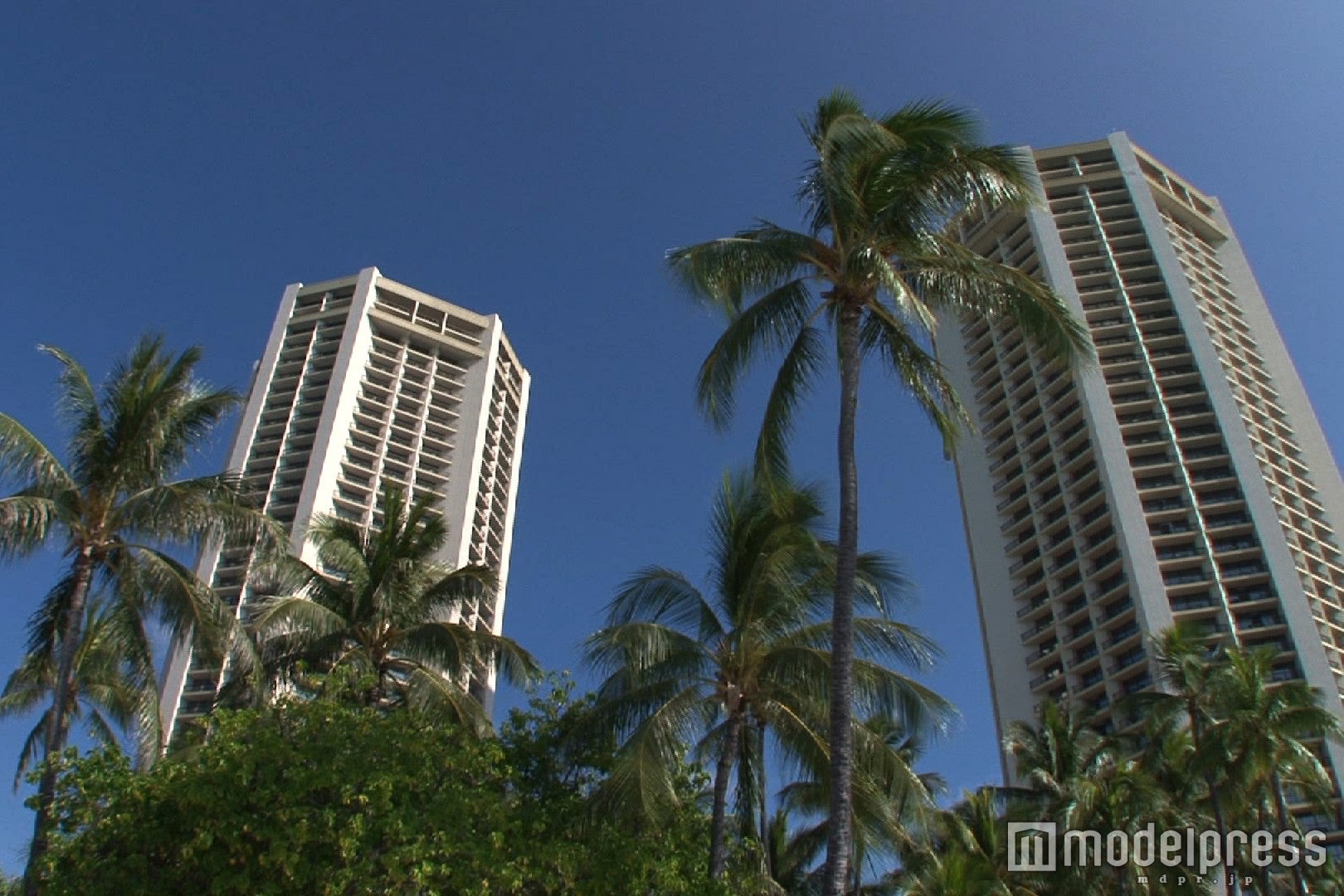 ハワイの風景／画像提供：毎日放送