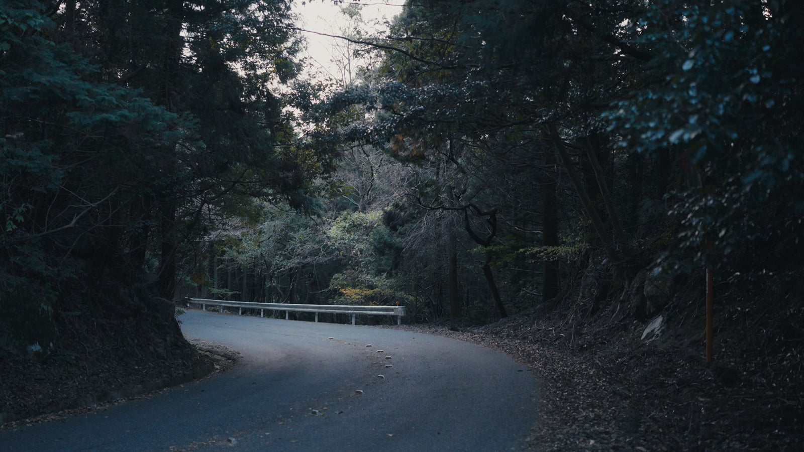 正義の行方（C）NHK