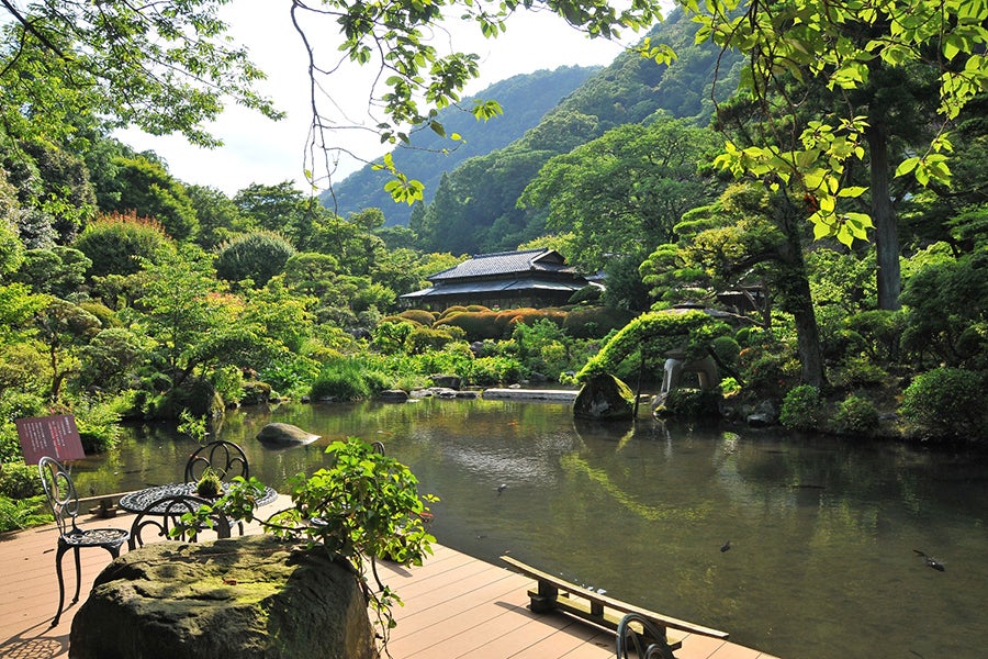 吉池旅館 真光庵