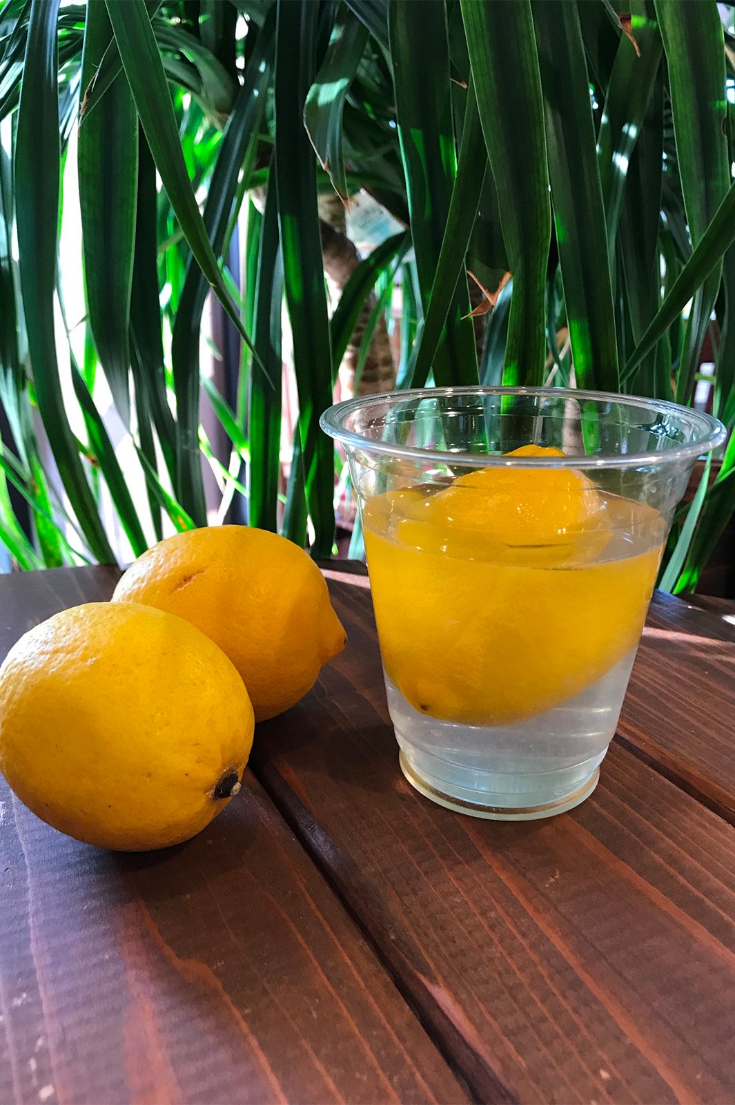 尾道市レモンスカッシュ／画像提供：「全国ふるさと甲子園」実行委員会