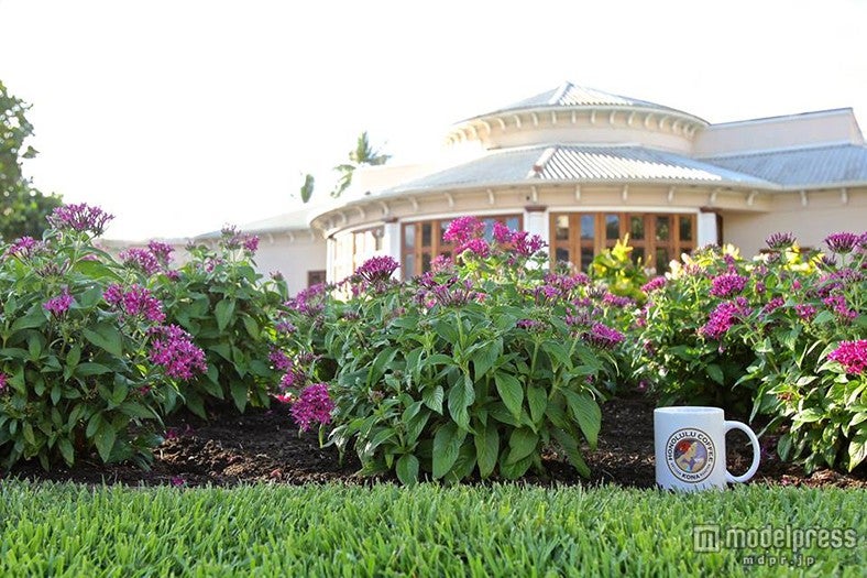 コナコーヒーを“五感で味わう”体験型施設がハワイに誕生