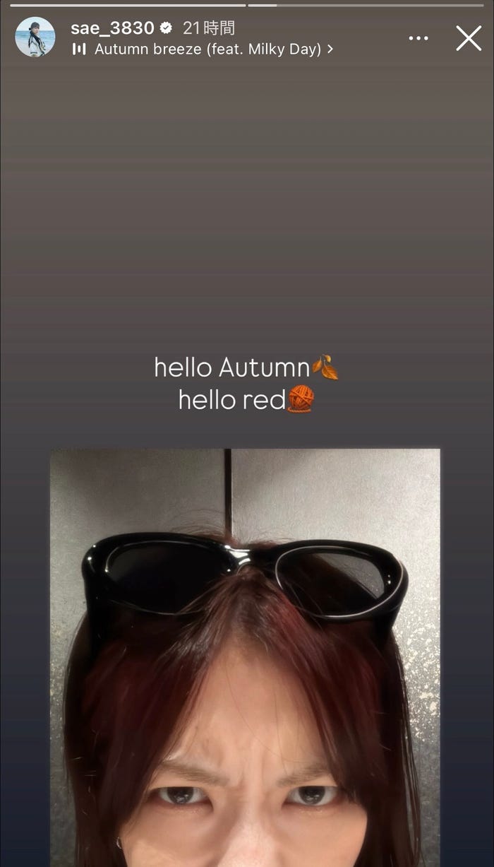 宮澤佐江Instagramストーリーズより