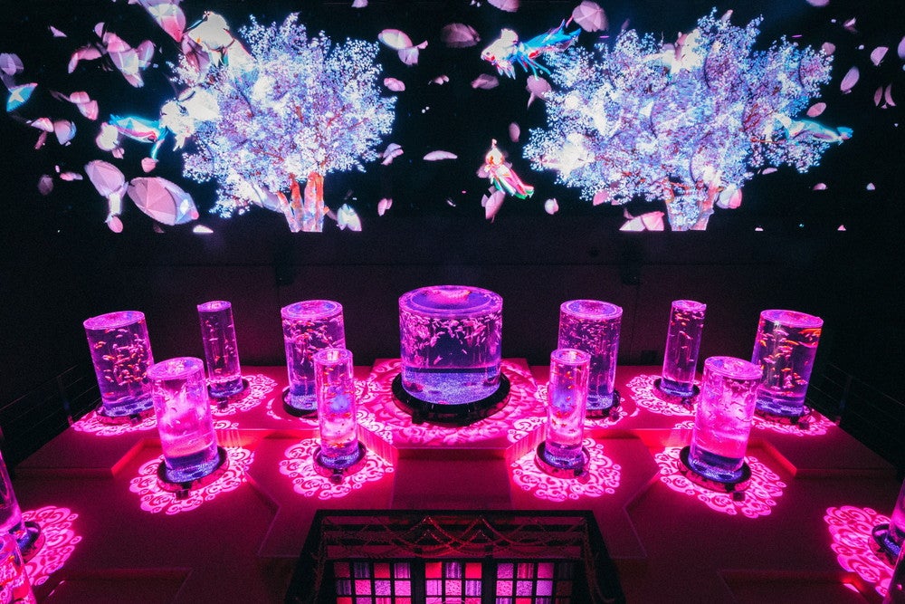 アートアクアリウム美術館「桜金魚 舞い泳ぐ」春限定演出が初開催