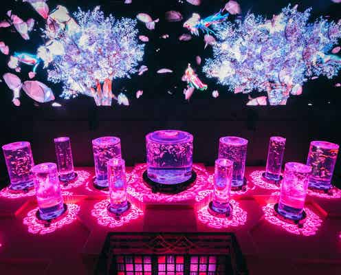 アートアクアリウム美術館「桜金魚 舞い泳ぐ」春限定演出が初開催