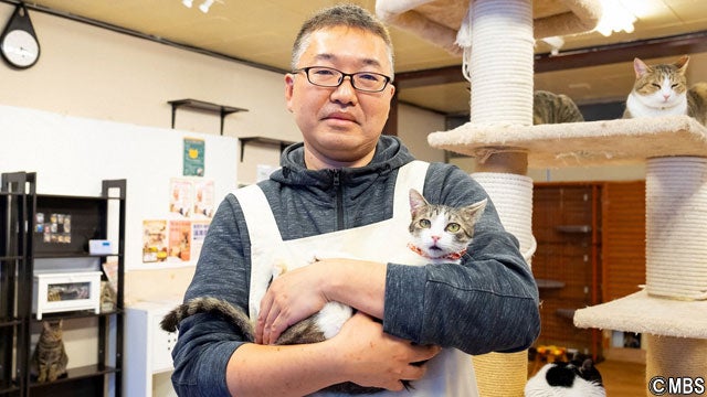保護猫カフェ 店主に密着 1000匹もの猫に新たな家族を見つけて来た男の覚悟 情熱大陸 モデルプレス