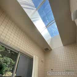 タカオネ(C)モデルプレス