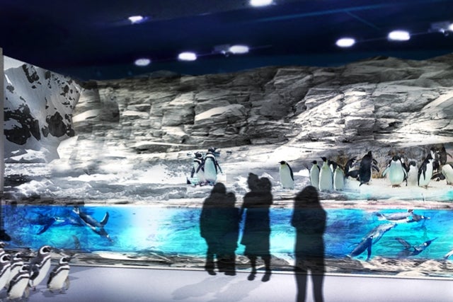 DMMかりゆし水族館／画像提供：DMM.com